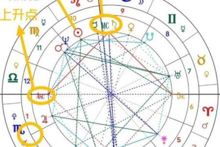 免费紫薇星盘在线排盘