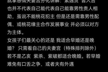 紫微斗数夫妻宫在亥无主星 加桃花主配偶有艺术才能
