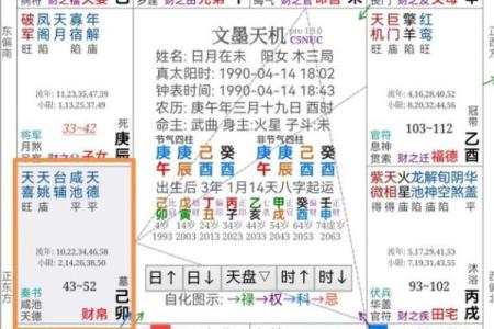 紫薇斗数免费算命大全