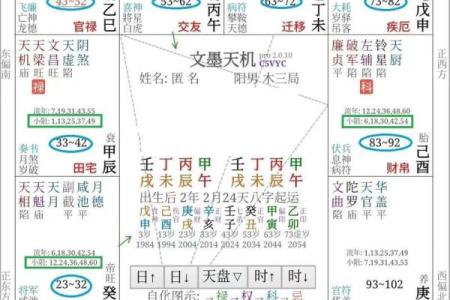 紫薇星盘斗数