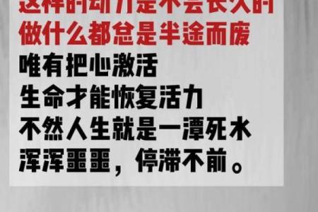 解析92年优秀八字，让你的人生更加精彩