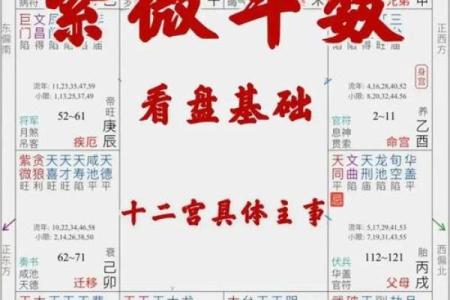 天梁在子女宫，紫微斗数天梁在子女宫详解