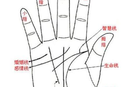 怎么看手相算命？只看男左女右对吗？