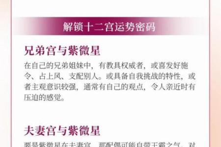 紫微斗数诸星落诸宫之：贪狼星官禄宫详解
